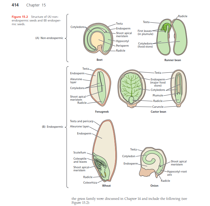 chapt18_fundamental_plant_physiology.png